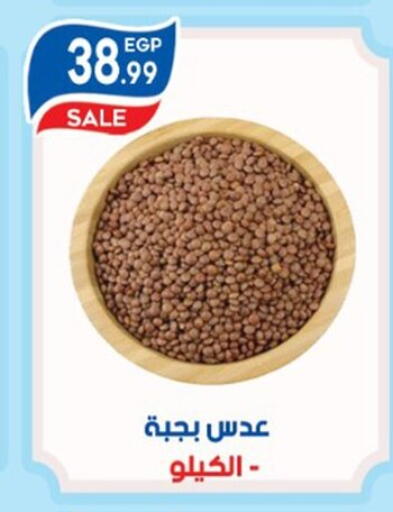 available at أولاد المحاوى in Egypt - القاهرة