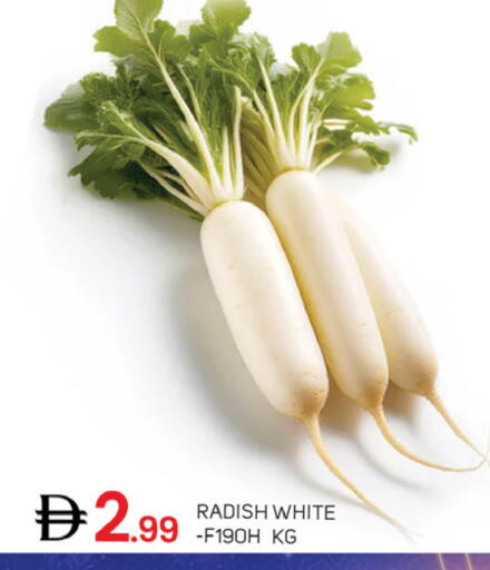 Radish available at سوق طلال in الإمارات العربية المتحدة , الامارات - دبي