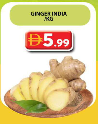 Ginger from India available at جراند هايبر ماركت in الإمارات العربية المتحدة , الامارات - دبي