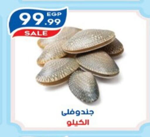 available at أولاد المحاوى in Egypt - القاهرة