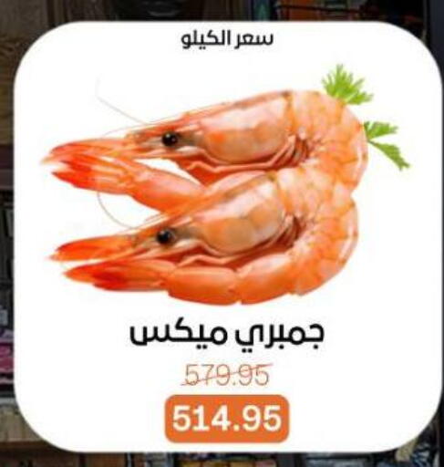 available at Beit El Gomla in Egypt - Cairo