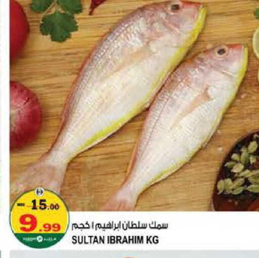 available at هاشم هايبرماركت in الإمارات العربية المتحدة , الامارات - الشارقة / عجمان