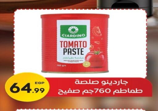 Tomato available at أولاد المحاوى in Egypt - القاهرة