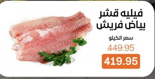 available at Beit El Gomla in Egypt - Cairo