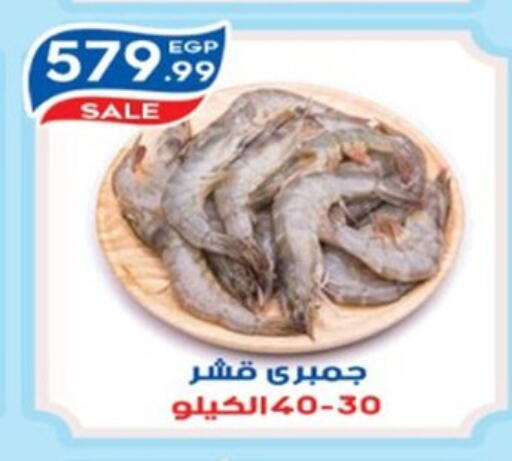 available at أولاد المحاوى in Egypt - القاهرة