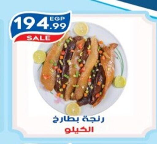 available at أولاد المحاوى in Egypt - القاهرة