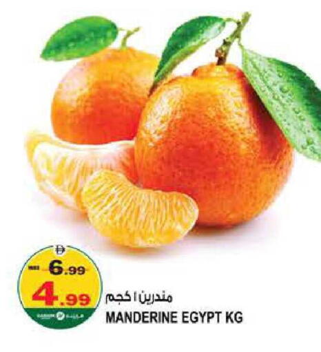 from Egypt available at هاشم هايبرماركت in الإمارات العربية المتحدة , الامارات - الشارقة / عجمان