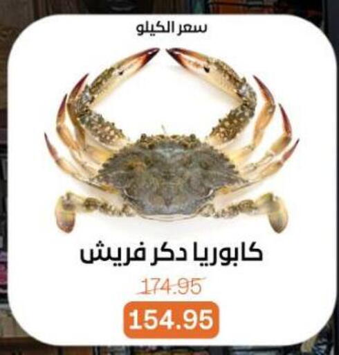 available at بيت الجملة in Egypt - القاهرة
