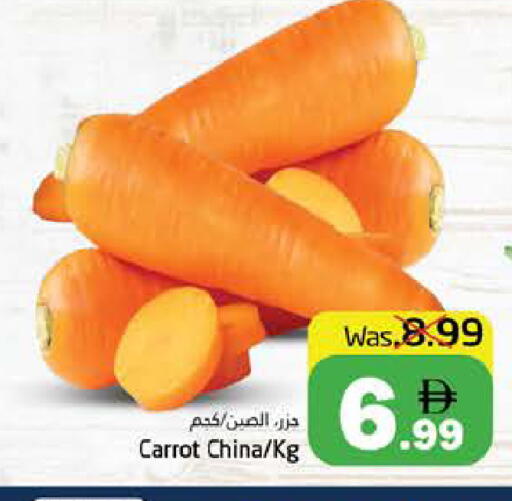Carrot from China available at PASONS GROUP in UAE - Fujairah