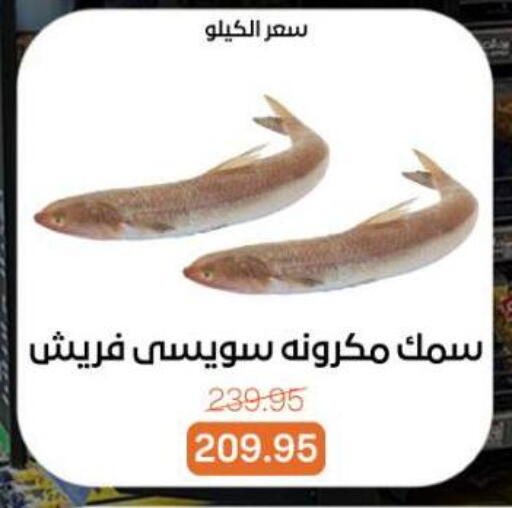 available at Beit El Gomla in Egypt - Cairo