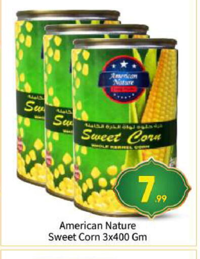 available at بيج مارت in الإمارات العربية المتحدة , الامارات - أبو ظبي