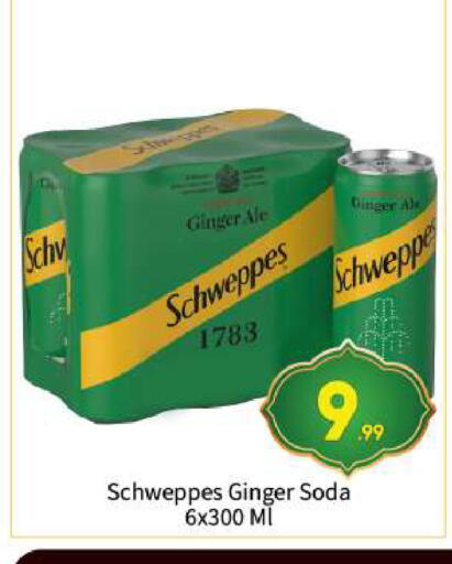 Ginger available at بيج مارت in الإمارات العربية المتحدة , الامارات - أبو ظبي