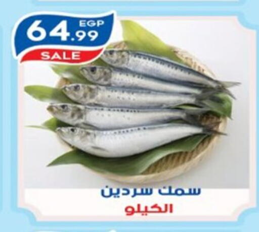 available at أولاد المحاوى in Egypt - القاهرة