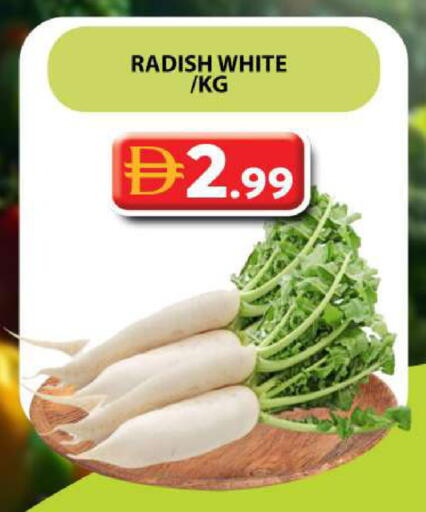Radish available at جراند هايبر ماركت in الإمارات العربية المتحدة , الامارات - دبي