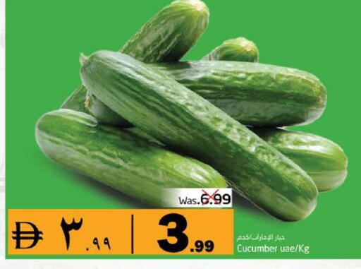 Cucumber available at PASONS GROUP in UAE - Fujairah