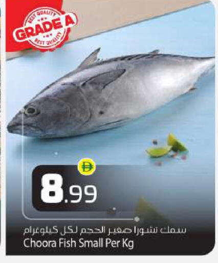 available at بيج مارت in الإمارات العربية المتحدة , الامارات - أبو ظبي