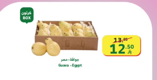 Guava from Egypt available at Al Raya in KSA, Saudi Arabia, Saudi - Khamis Mushait