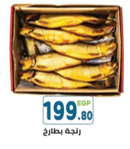 available at Dream Market in Egypt - Cairo
