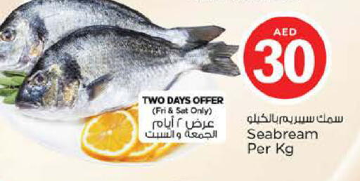 available at نستو هايبرماركت in الإمارات العربية المتحدة , الامارات - أبو ظبي