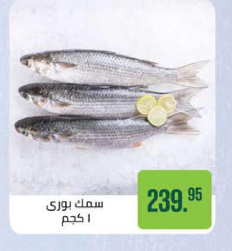 available at سعودي سوبرماركت in Egypt - القاهرة