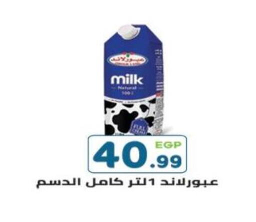 available at Dream Market in Egypt - Cairo