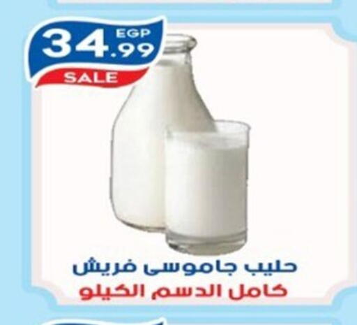 available at أولاد المحاوى in Egypt - القاهرة