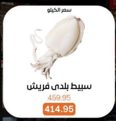 available at Beit El Gomla in Egypt - Cairo