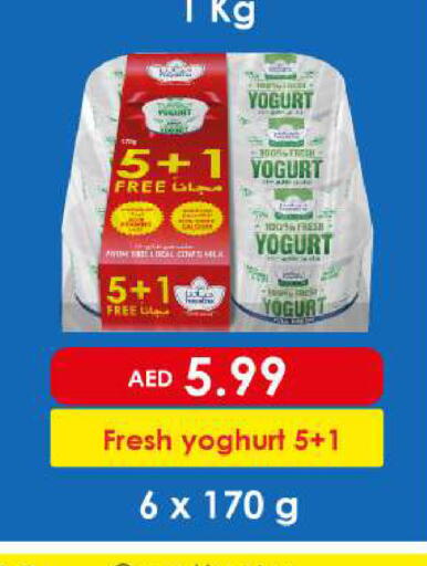 available at بيج مارت in الإمارات العربية المتحدة , الامارات - أبو ظبي