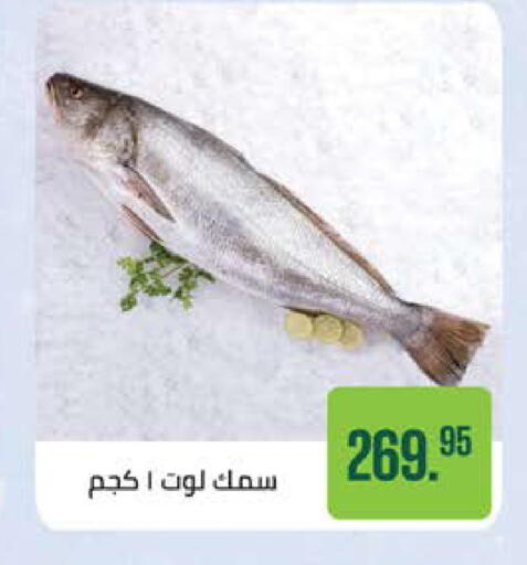 available at سعودي سوبرماركت in Egypt - القاهرة