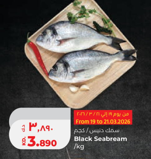 available at Lulu Hypermarket  in Kuwait - Ahmadi Governorate