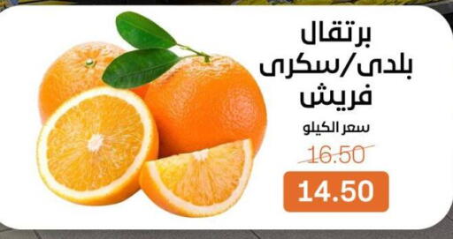 available at Beit El Gomla in Egypt - Cairo