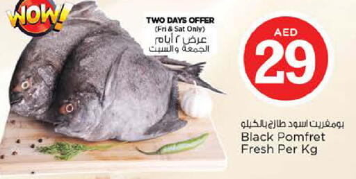 available at نستو هايبرماركت in الإمارات العربية المتحدة , الامارات - أبو ظبي