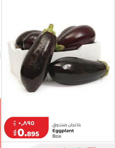 Eggplant available at Lulu Hypermarket  in Kuwait - Ahmadi Governorate