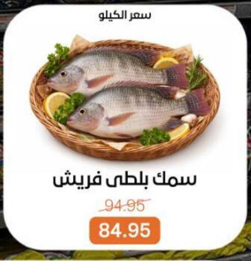 available at Beit El Gomla in Egypt - Cairo