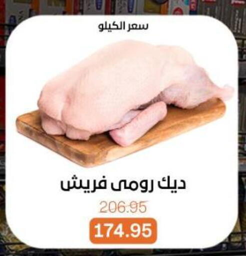 available at بيت الجملة in Egypt - القاهرة