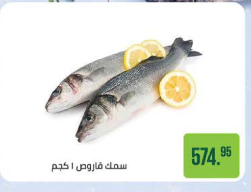 available at سعودي سوبرماركت in Egypt - القاهرة