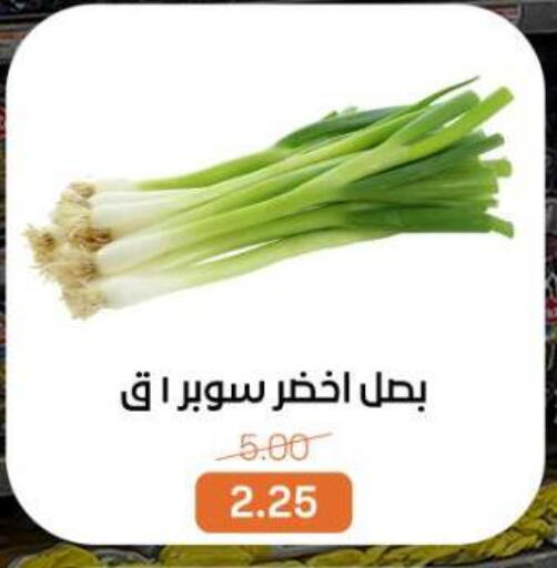 available at Beit El Gomla in Egypt - Cairo