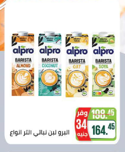 Coconut available at سعودي سوبرماركت in Egypt - القاهرة