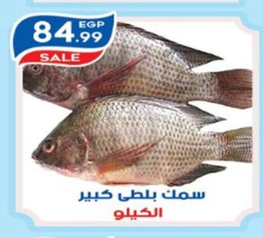 available at أولاد المحاوى in Egypt - القاهرة