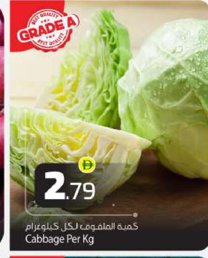 Cabbage available at بيج مارت in الإمارات العربية المتحدة , الامارات - أبو ظبي