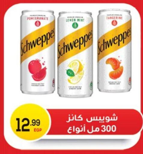Pomegranate Lemon Mint available at أولاد المحاوى in Egypt - القاهرة