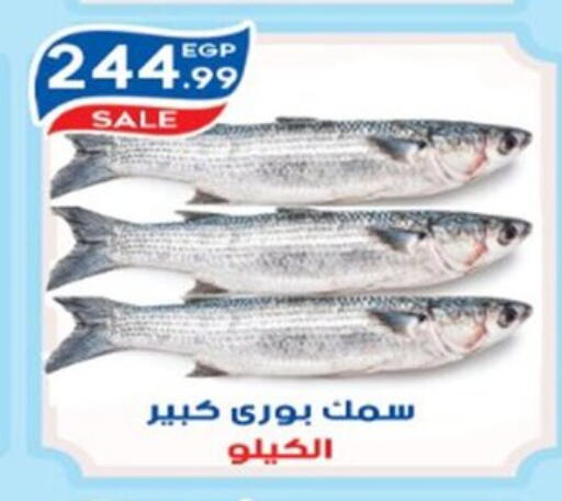 available at أولاد المحاوى in Egypt - القاهرة