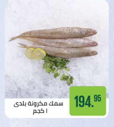 available at سعودي سوبرماركت in Egypt - القاهرة
