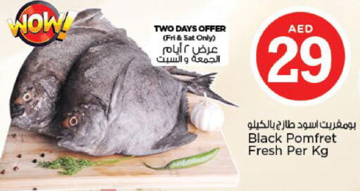 available at نستو هايبرماركت in الإمارات العربية المتحدة , الامارات - أبو ظبي