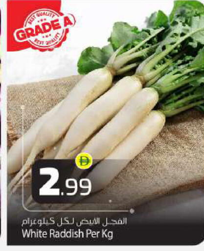 available at بيج مارت in الإمارات العربية المتحدة , الامارات - أبو ظبي