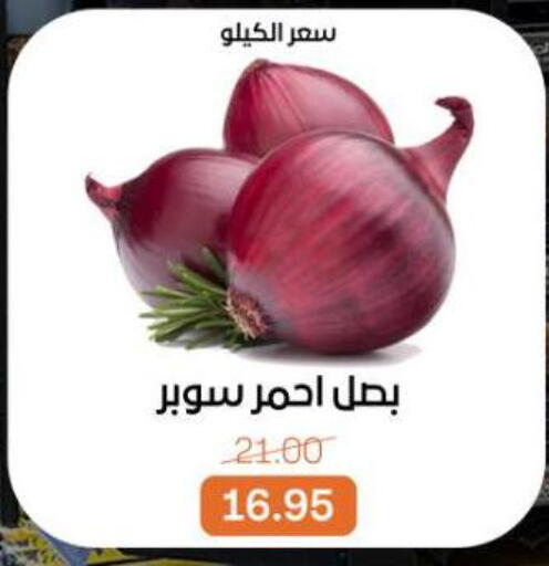 available at Beit El Gomla in Egypt - Cairo