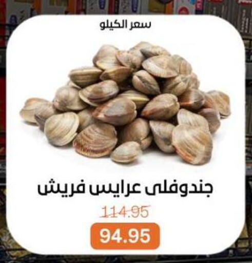 available at Beit El Gomla in Egypt - Cairo