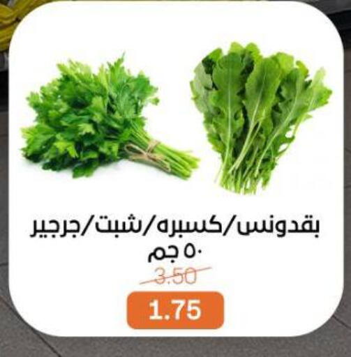 available at Beit El Gomla in Egypt - Cairo