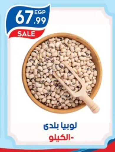 available at أولاد المحاوى in Egypt - القاهرة