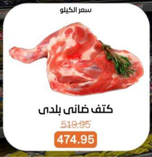 available at بيت الجملة in Egypt - القاهرة